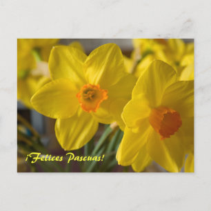 Gelbe Narzissen ¡Felices Pascuas!  Postkarte