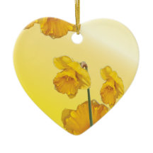 Gelbe Narzissen-Narzisse