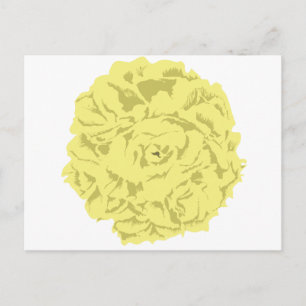 Gelbe Nelke-Blume Postkarte