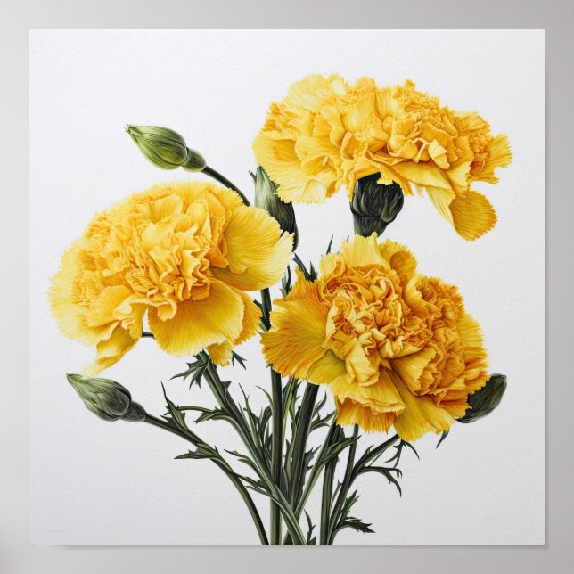 Gelbe Nelken Blume Art Print Poster (Vorne)