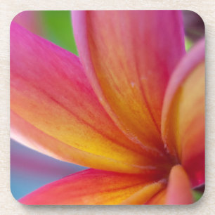 Gelbe Orange Deep Pink Tropische Plumeria Blume Untersetzer