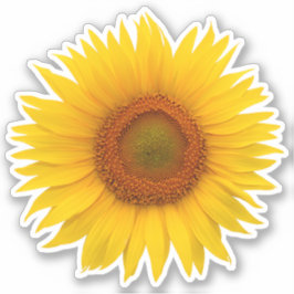 Gelbe Orangenblume Blume Kiss-Cut Sticker