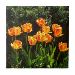 Gelbe Orangenhaut Fliese