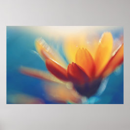 Gelbe Orangenmarigold-Blume in Blau Poster
