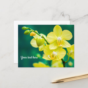 Gelbe Orchidee auf grüner Postkarte
