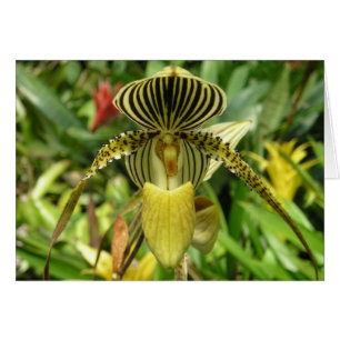 Gelbe Orchideen-Blumen-Karte