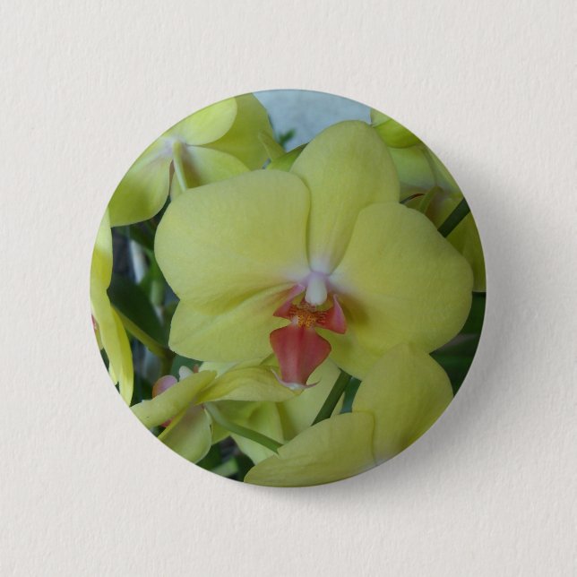 Gelbe Orchideen Button (Vorderseite)
