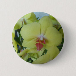 Gelbe Orchideen Button
