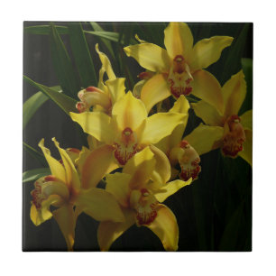 Gelbe Orchideen Fliese