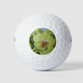 Gelbe Orchideen Golfball