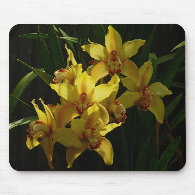 Gelbe Orchideen Mousepad (Vorne)