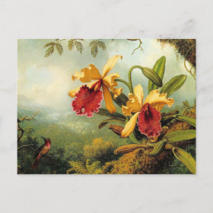 Gelbe Orchideen Postkarte