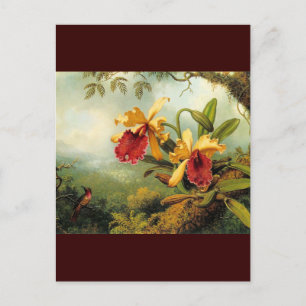 Gelbe Orchideen Postkarte