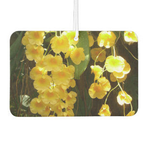 Gelbe Orchideen - tropische Blume Autolufterfrischer