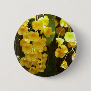 Gelbe Orchideen - tropische Blume Button