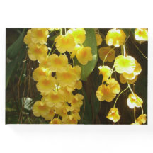 Gelbe Orchideen - tropische Blume
