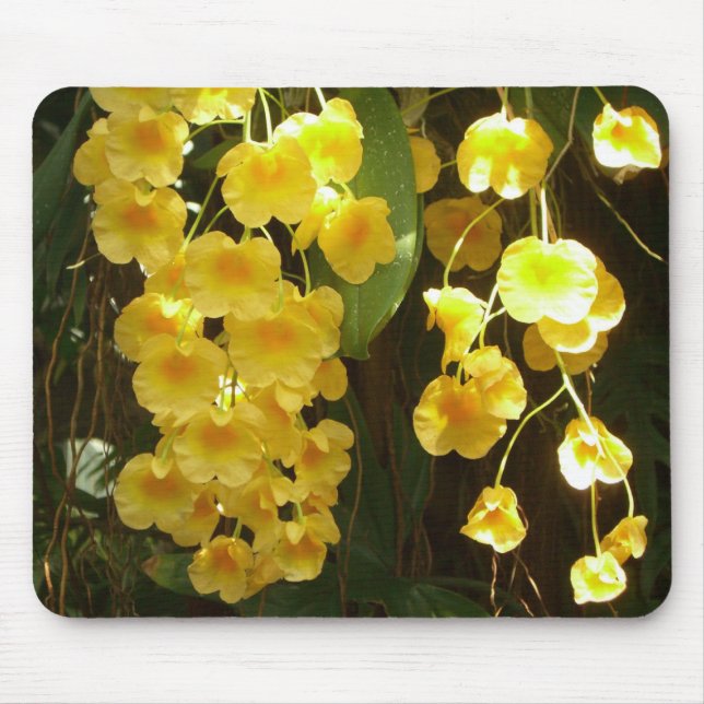 Gelbe Orchideen - tropische Blume Mousepad (Vorne)