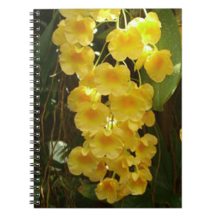 Gelbe Orchideen - tropische Blume Notizblock