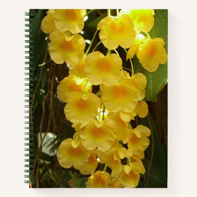 Gelbe Orchideen - tropische Blume Notizbuch (Vorderseite)