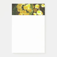 Gelbe Orchideen - tropische Blume
