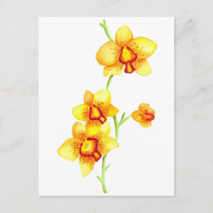Gelbe Orchideen Wasserfarbe Postkarte
