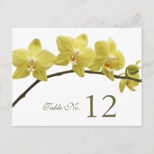 Gelbe Orchids-Tischnummer Postkarte