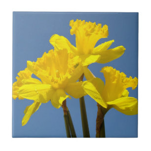Gelbe Osterglocken Blumen Fliesen Kunst Narzissen