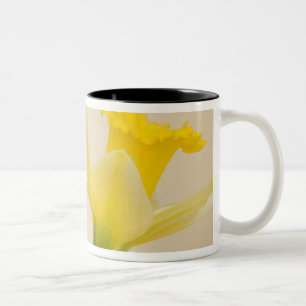 Gelbe Osterglocken Zweifarbige Tasse