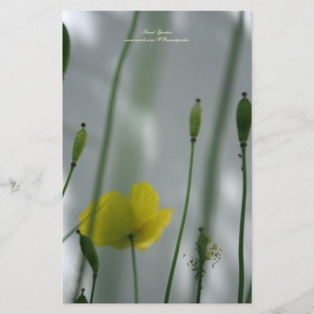 Gelbe Pflaumen Schatten 3 Personalisierte Geschich Briefpapier (Vorderseite)