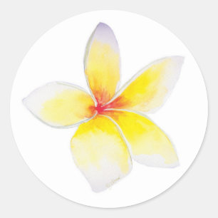 Gelbe Plumeria-Aufkleber Runder Aufkleber