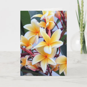 Gelbe Plumeria-Grußkarte Karte