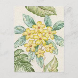 Gelbe Plumeria Postkarte
