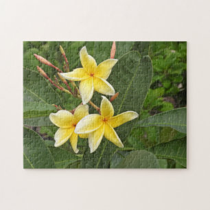 Gelbe Plumeria-Tropenblumen-Fotografie-Puzzle Puzzle