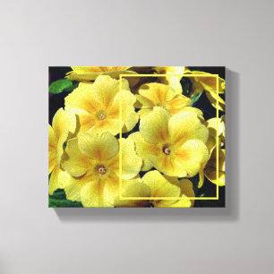 Gelbe Primrose-Blume kreieren Ihr eigenes Foto Leinwanddruck