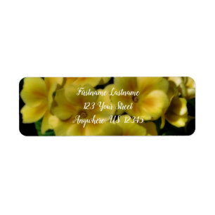 Gelbe Primrose-Blume Orton-Wirkungsadresse