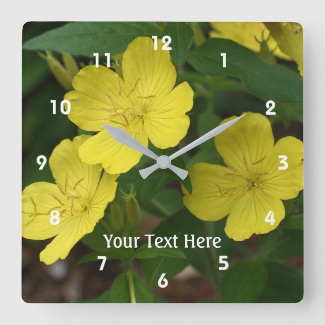 Gelbe Primrose Frühlingsblumen Personalisiert Quadratische Wanduhr (Vorderseite)