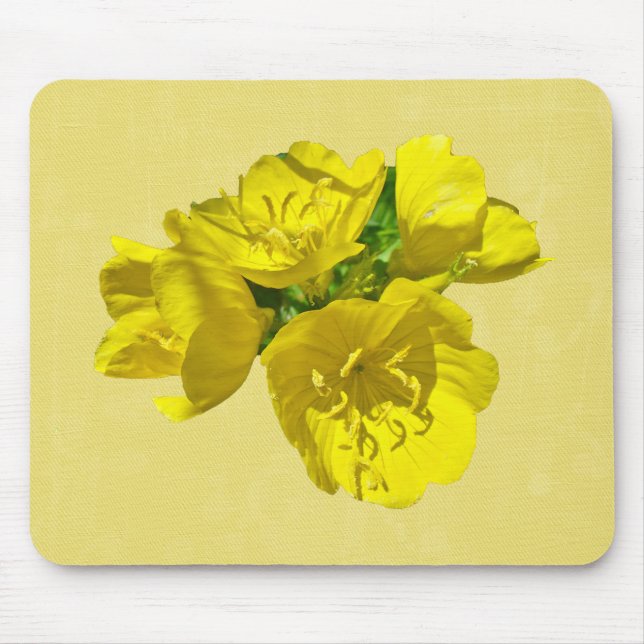 Gelbe Primrosen - Sundrops Mousepad (Vorne)