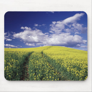 Gelbe Rapsfelder in Whitman County, Bundesstaat Wa Mousepad