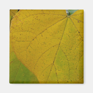 Gelbe Redbud-Blätter Herbst Naturfotografie Magnet