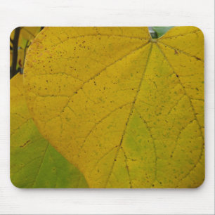 Gelbe Redbud-Blätter Herbst Naturfotografie Mousepad
