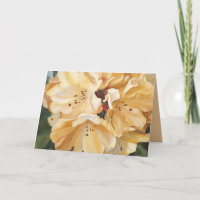 Gelbe Rhododendron Geburtstag