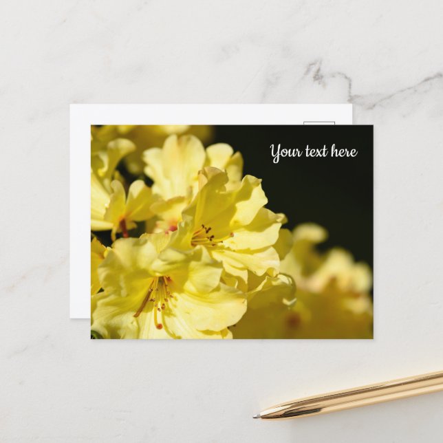 Gelbe Rhododendron-Postkarte Postkarte (Vorderseite/Rückseite Beispiel)