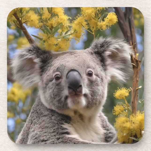 Gelbe Rinder und Koala-Bär, Getränkeuntersetzer (Vorderseite)