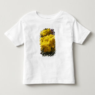 Gelbe Ringelblumen sonnen sich im Sonnenlicht Kleinkind T-shirt
