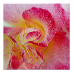 Gelbe rosa Blätter Poster