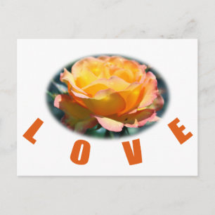 Gelbe Rosa Blume Foto Kunstschenk Liebe Postkarte