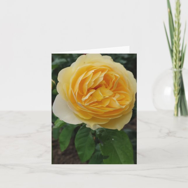 Gelbe Rosa-Blume Karte (Vorderseite)