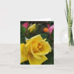 Gelbe Rosa-Blume Karte