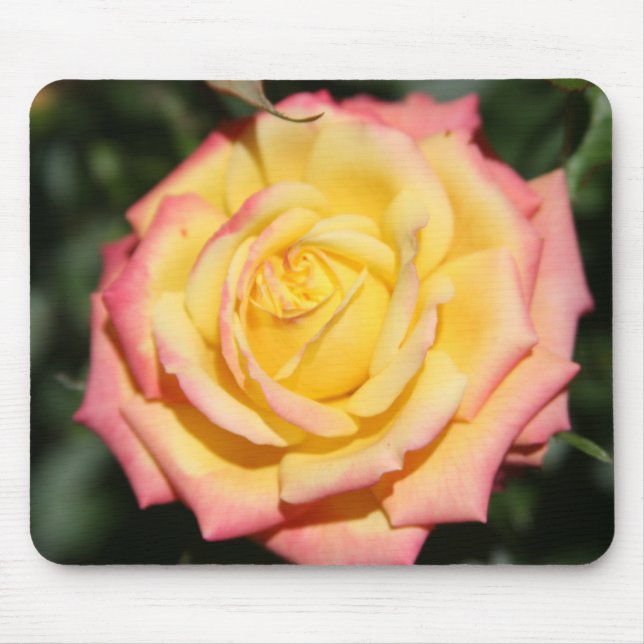 Gelbe Rosa Blume Mousepad (Vorne)