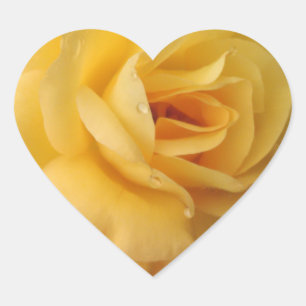 Gelbe rosa Herzwürmer Herz-Aufkleber